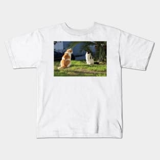 Summer Flirt Cats Fine Art Photography Kids T-Shirt